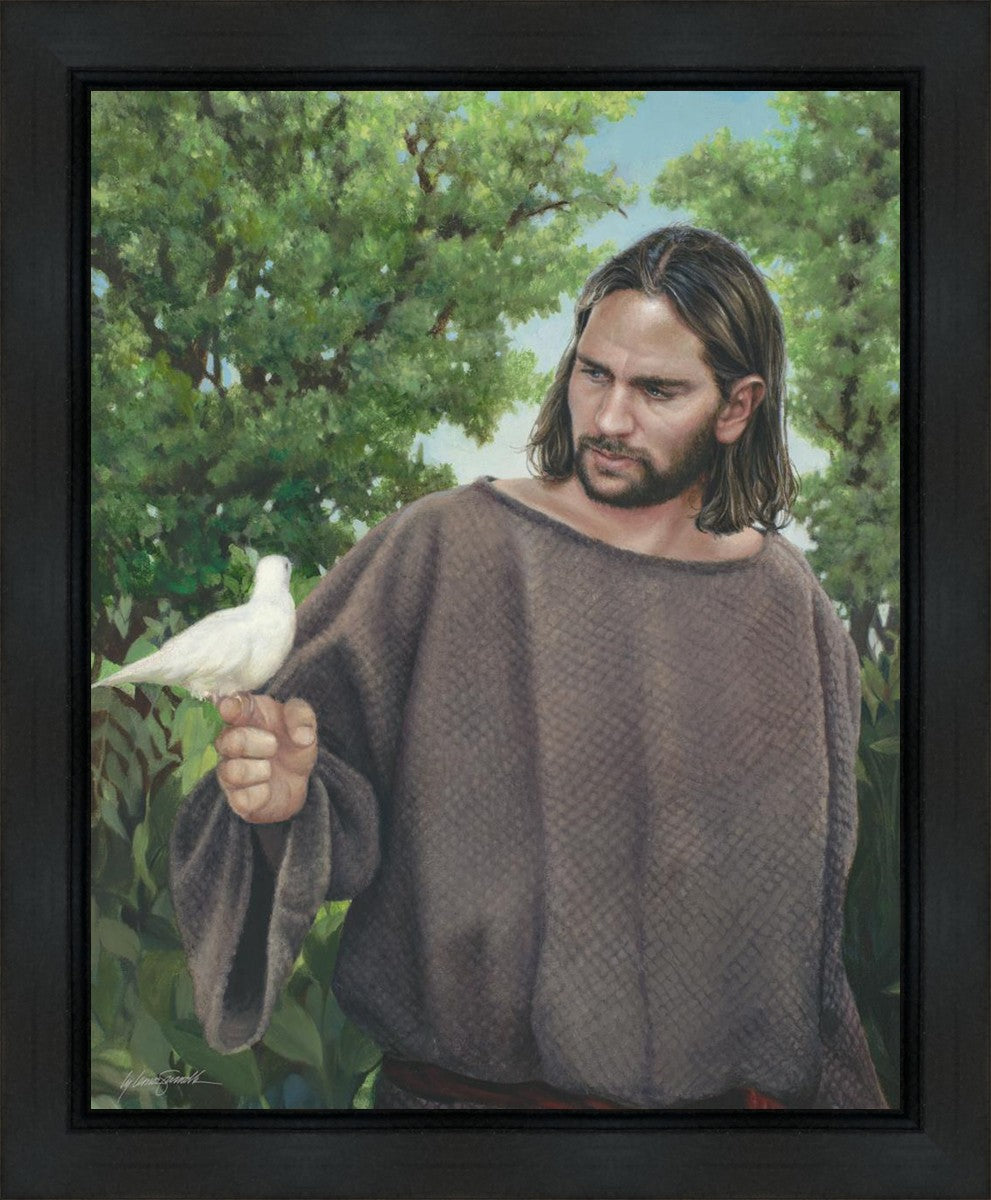 The Creator
