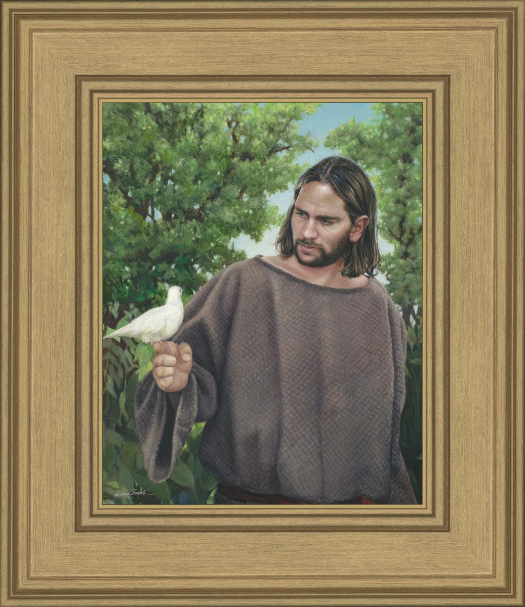 The Creator
