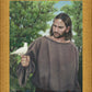 The Creator