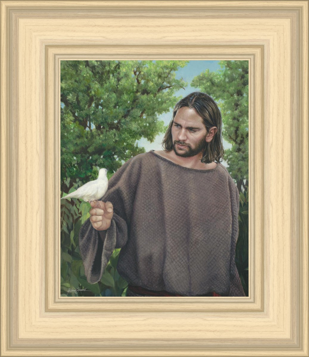 The Creator