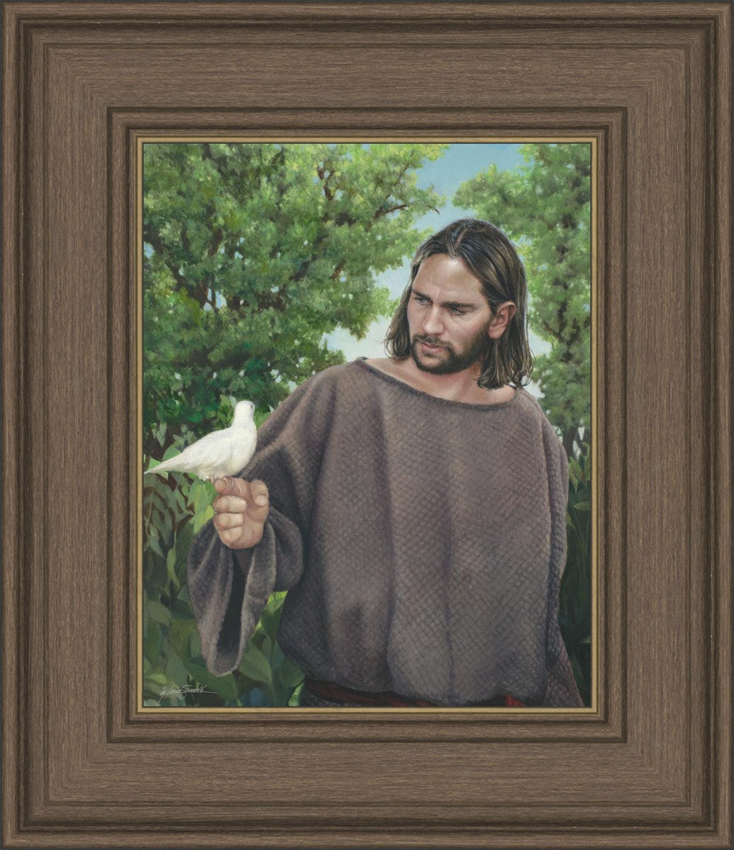 The Creator