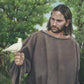 The Creator