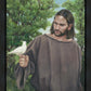 The Creator