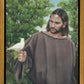 The Creator