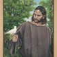 The Creator