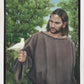 The Creator