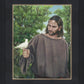The Creator