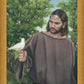 The Creator