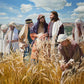 Lord of the Sabbath