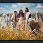 Lord of the Sabbath
