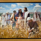 Lord of the Sabbath