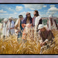 Lord of the Sabbath