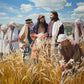 Lord of the Sabbath