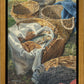Loaves and Fishes