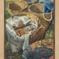Loaves and Fishes
