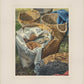 Loaves and Fishes