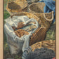Loaves and Fishes