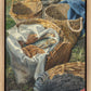 Loaves and Fishes