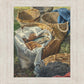Loaves and Fishes
