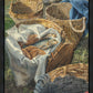 Loaves and Fishes