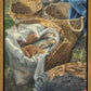 Loaves and Fishes