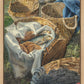 Loaves and Fishes