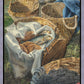 Loaves and Fishes