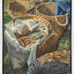 Loaves and Fishes