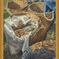 Loaves and Fishes