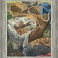 Loaves and Fishes