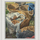 Loaves and Fishes