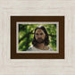 The Good Shepherd
