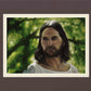 The Good Shepherd