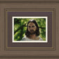The Good Shepherd