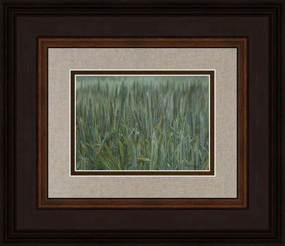 The Wheat And The Tares