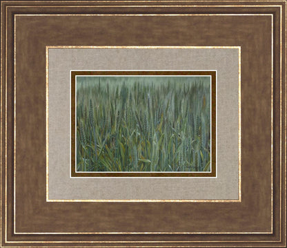 The Wheat And The Tares