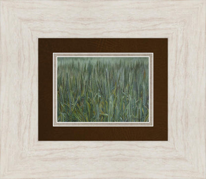 The Wheat And The Tares