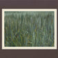 The Wheat And The Tares