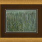 The Wheat And The Tares