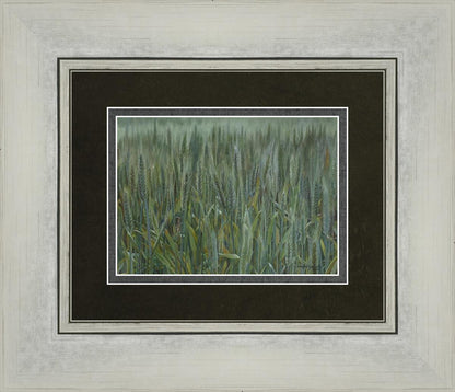 The Wheat And The Tares