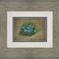 Forget Me Not