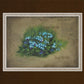 Forget Me Not
