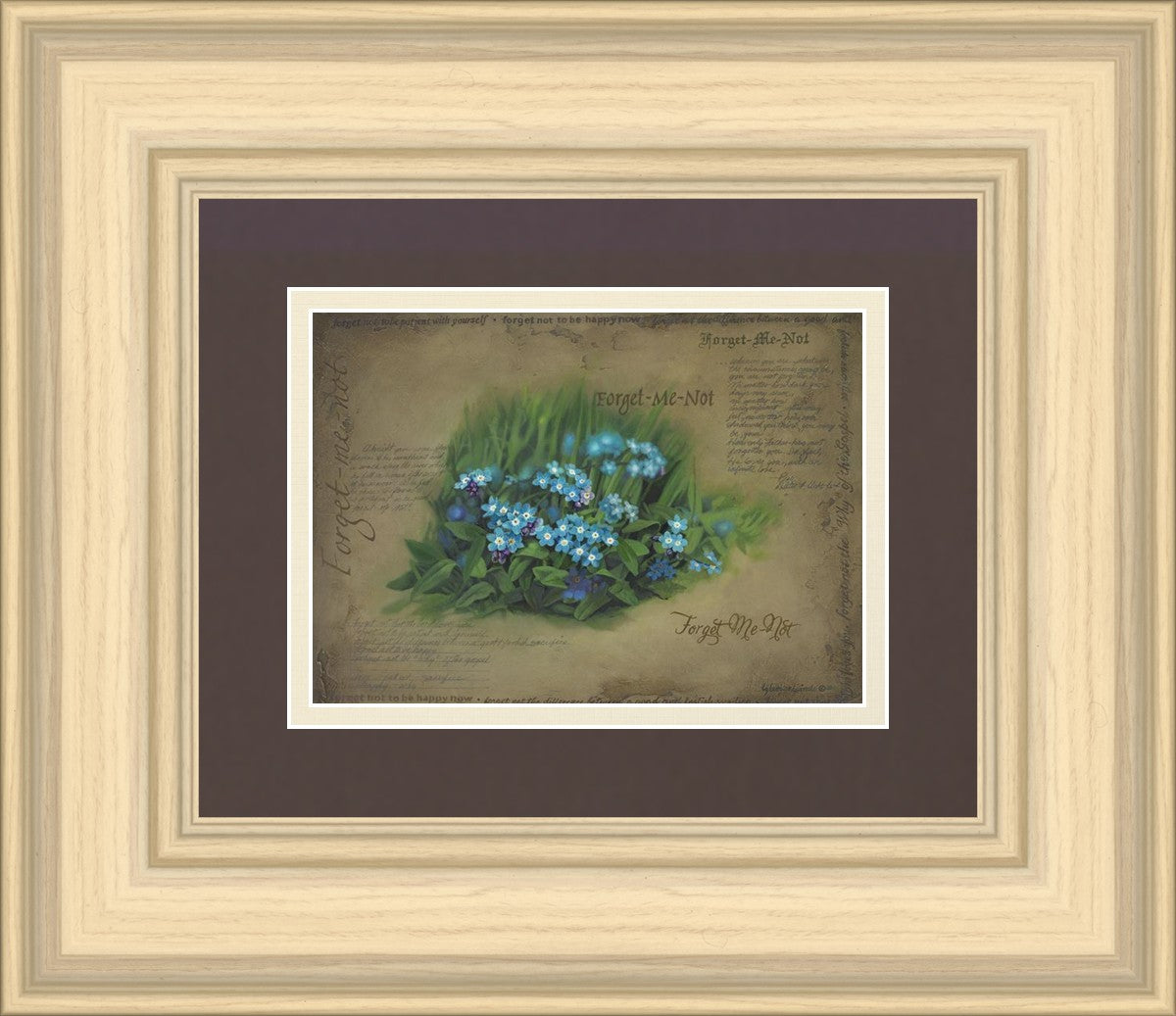 Forget Me Not