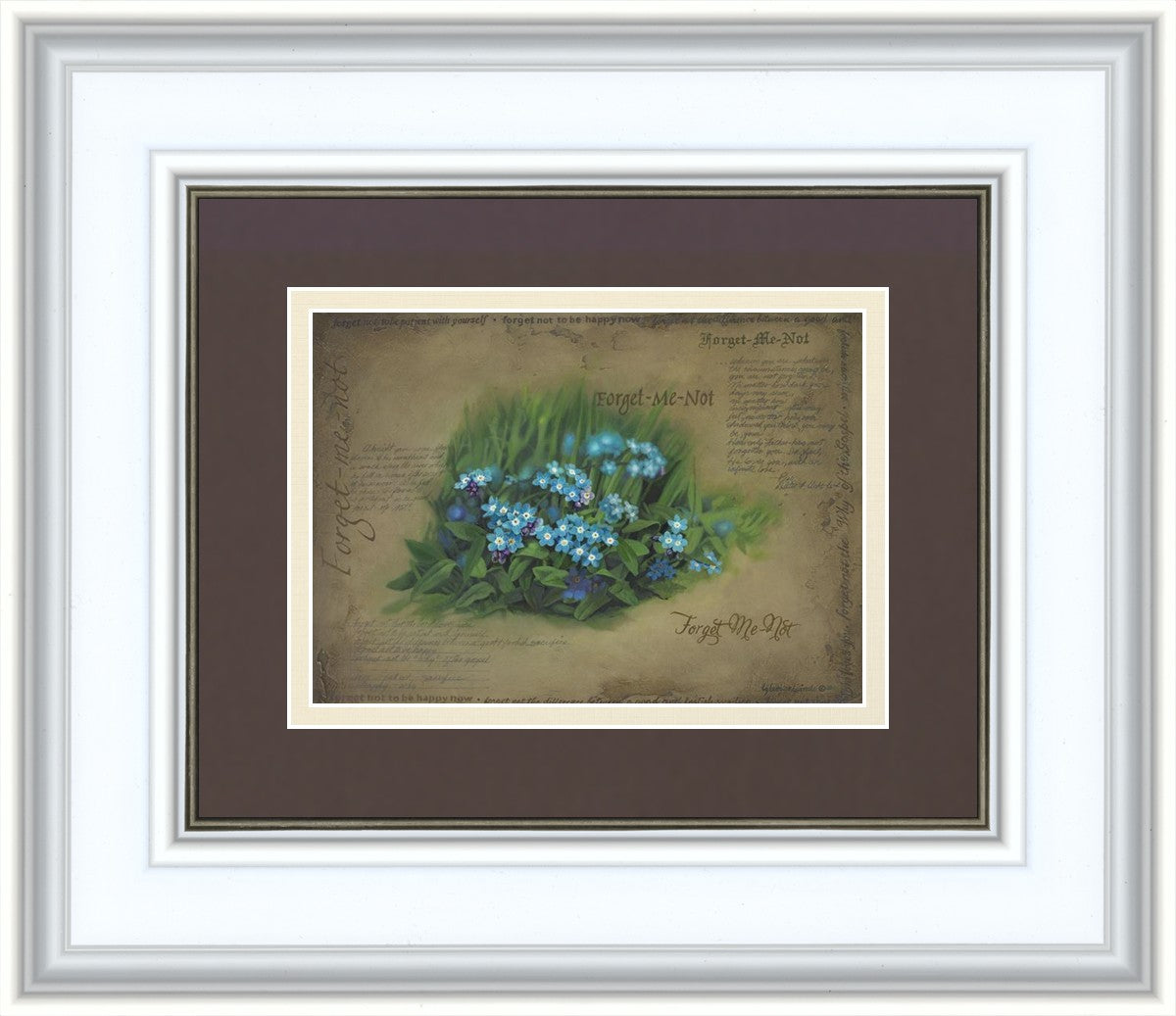 Forget Me Not