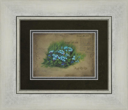 Forget Me Not