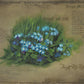 Forget Me Not