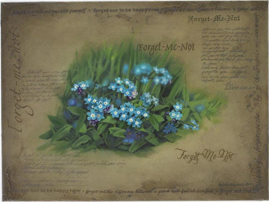 Forget Me Not Gallery Wrap
