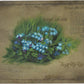 Forget Me Not