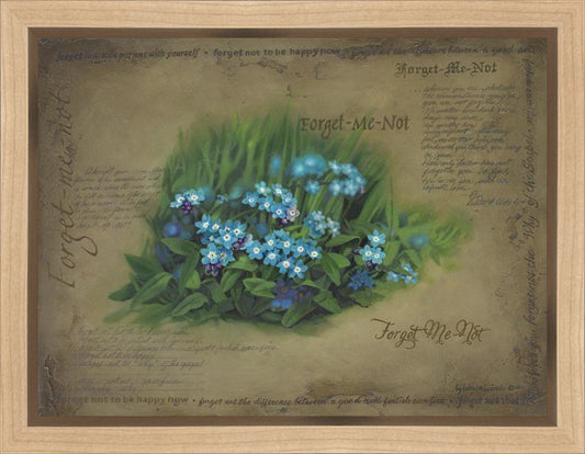 Forget Me Not