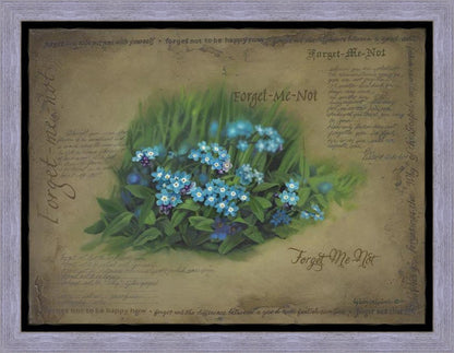 Forget Me Not